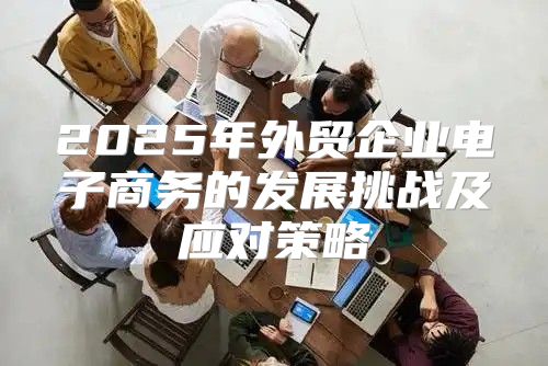 2025年外贸企业电子商务的发展挑战及应对策略
