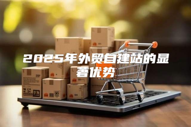 2025年外贸自建站的显著优势