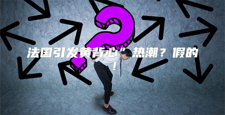 法国引发黄背心”热潮？假的！