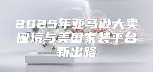 2025年亚马逊大卖困境与美国家装平台新出路