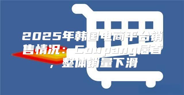 2025年韩国电商平台销售情况：Coupang居首，整体销量下滑