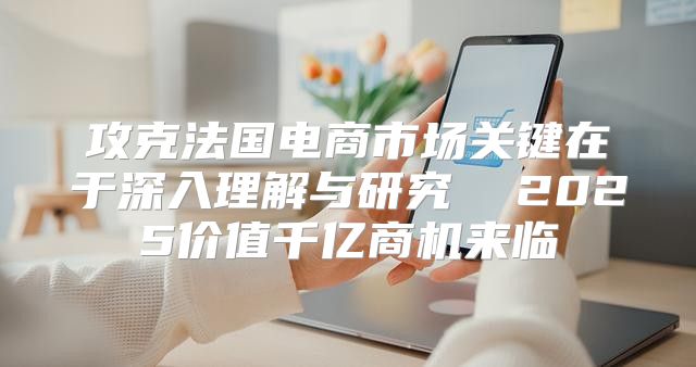 攻克法国电商市场关键在于深入理解与研究  2025价值千亿商机来临