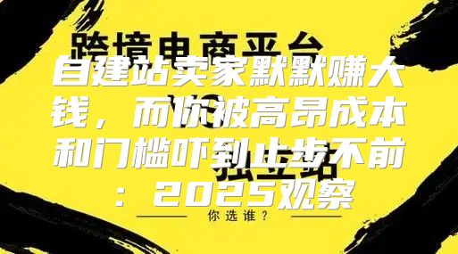 自建站卖家默默赚大钱，而你被高昂成本和门槛吓到止步不前：2025观察