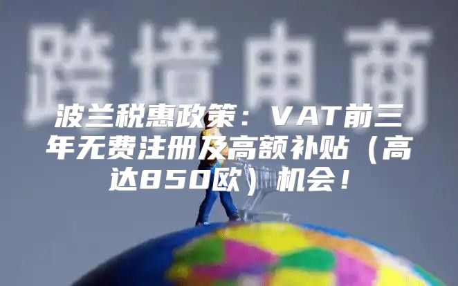 波兰税惠政策：VAT前三年无费注册及高额补贴高达850欧机会！