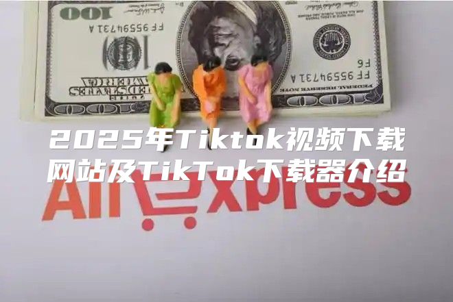 2025年Tiktok视频下载网站及TikTok下载器介绍