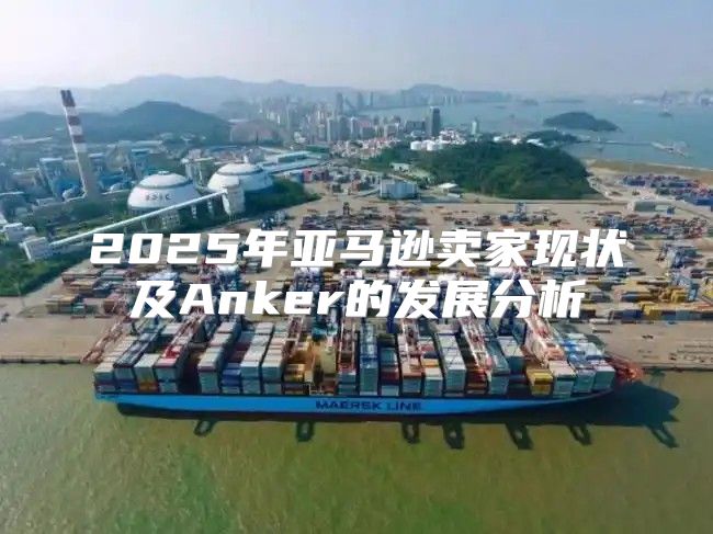 2025年亚马逊卖家现状及Anker的发展分析