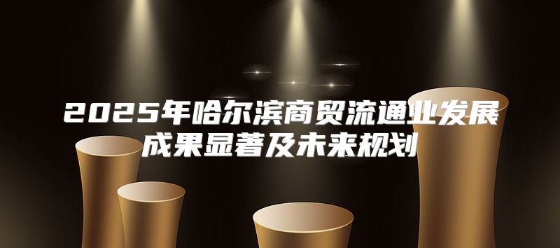 2025年哈尔滨商贸流通业发展成果显著及未来规划
