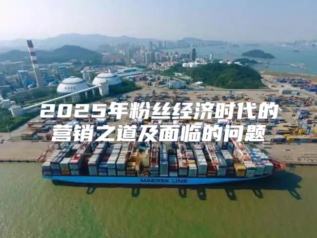 2025年粉丝经济时代的营销之道及面临的问题