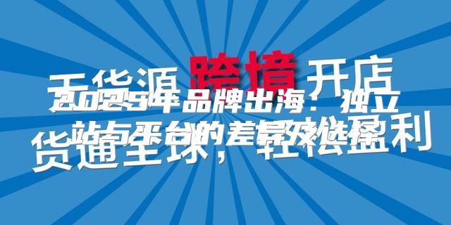 2025年品牌出海：独立站与平台的差异及选择