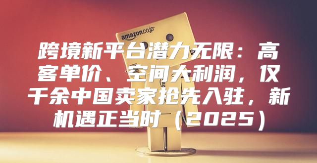 跨境新平台潜力无限：高客单价、空间大利润，仅千余中国卖家抢先入驻，新机遇正当时2025
