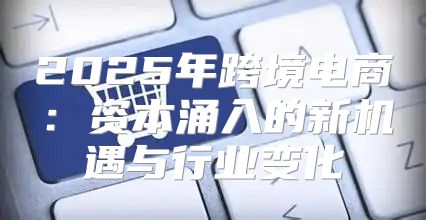 2025年跨境电商：资本涌入的新机遇与行业变化