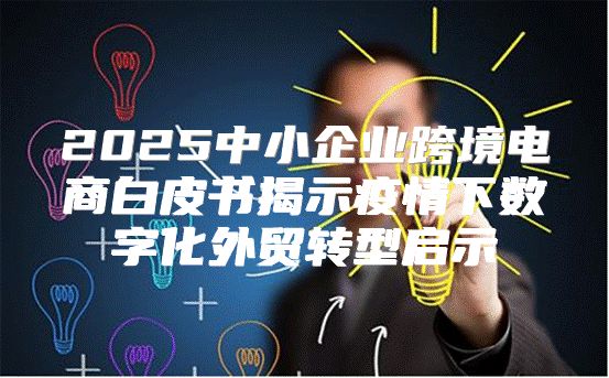 2025中小企业跨境电商白皮书揭示疫情下数字化外贸转型启示