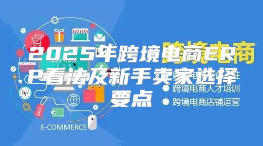 2025年跨境电商ERP看法及新手卖家选择要点
