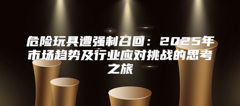 危险玩具遭强制召回：2025年市场趋势及行业应对挑战的思考之旅