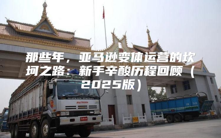 那些年，亚马逊变体运营的坎坷之路：新手辛酸历程回顾2025版