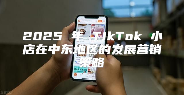 2025 年 TikTok 小店在中东地区的发展营销策略