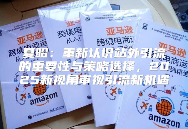 夏昭：重新认识站外引流的重要性与策略选择，2025新视角审视引流新机遇