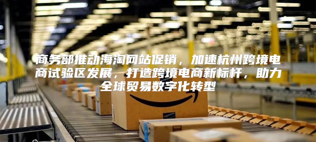 商务部推动海淘网站促销，加速杭州跨境电商试验区发展，打造跨境电商新标杆，助力全球贸易数字化转型