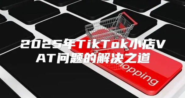 2025年TikTok小店VAT问题的解决之道
