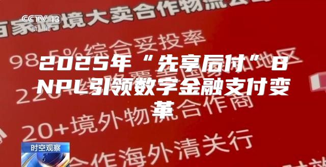 2025年“先享后付”BNPL引领数字金融支付变革