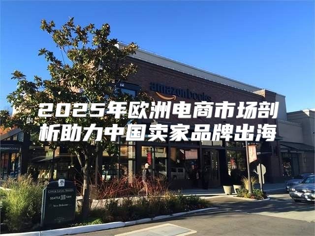 2025年欧洲电商市场剖析助力中国卖家品牌出海