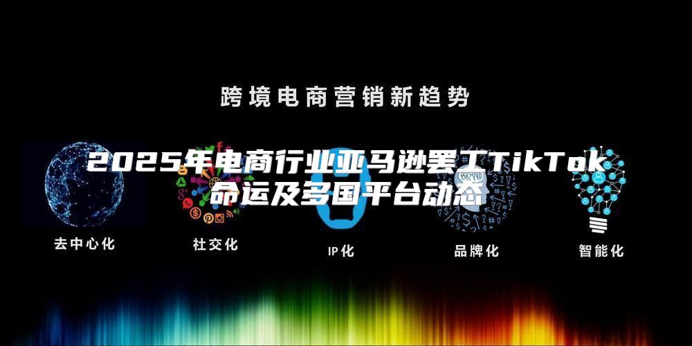 2025年电商行业亚马逊罢工TikTok命运及多国平台动态