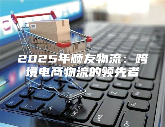 2025年顺友物流：跨境电商物流的领先者