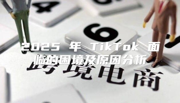 2025 年 TikTok 面临的困境及原因分析