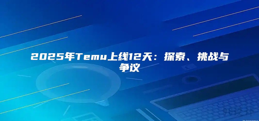2025年Temu上线12天：探索、挑战与争议