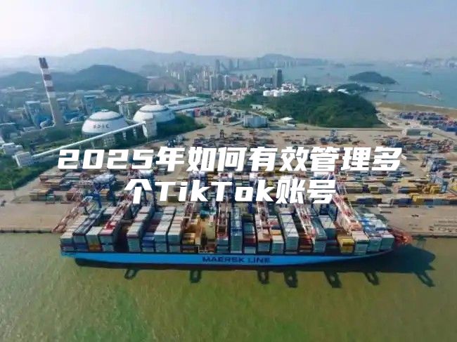 2025年如何有效管理多个TikTok账号