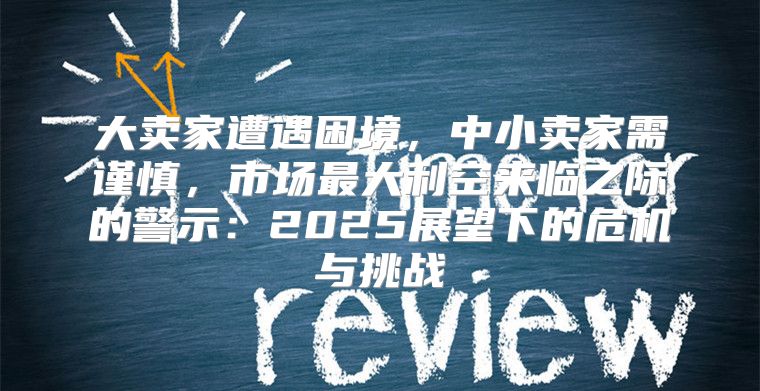 大卖家遭遇困境，中小卖家需谨慎，市场最大利空来临之际的警示：2025展望下的危机与挑战