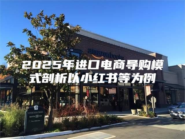 2025年进口电商导购模式剖析以小红书等为例