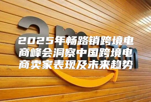2025年畅路销跨境电商峰会洞察中国跨境电商卖家表现及未来趋势