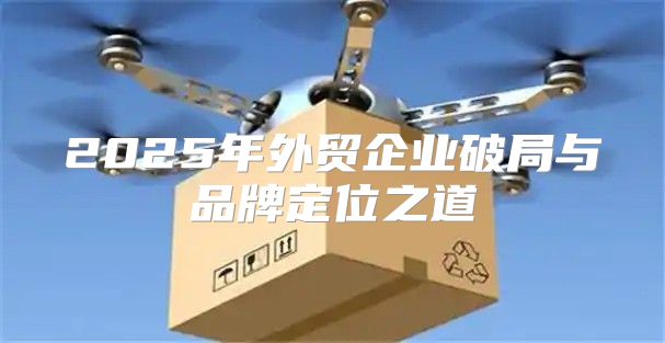 2025年外贸企业破局与品牌定位之道