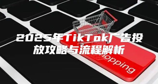 2025年TikTok广告投放攻略与流程解析