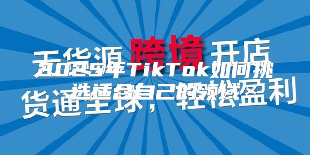 2025年TikTok如何挑选适合自己的领域