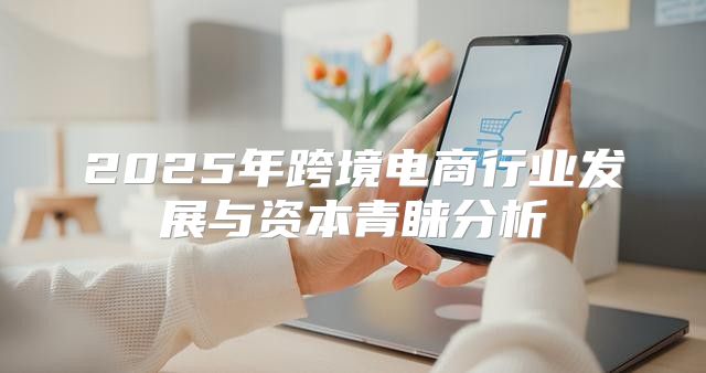 2025年跨境电商行业发展与资本青睐分析