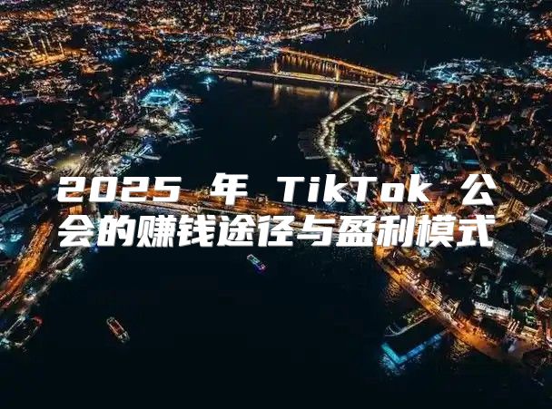 2025 年 TikTok 公会的赚钱途径与盈利模式