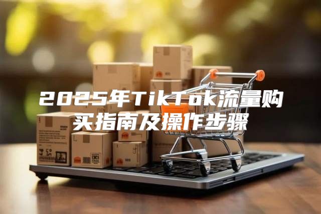 2025年TikTok流量购买指南及操作步骤