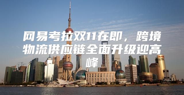 网易考拉双11在即，跨境物流供应链全面升级迎高峰