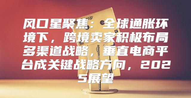 风口星聚焦：全球通胀环境下，跨境卖家积极布局多渠道战略，垂直电商平台成关键战略方向，2025展望