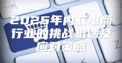 2025年内衣电商行业的挑战机遇及应对策略