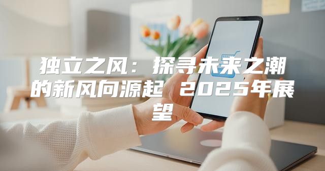 独立之风：探寻未来之潮的新风向源起 2025年展望