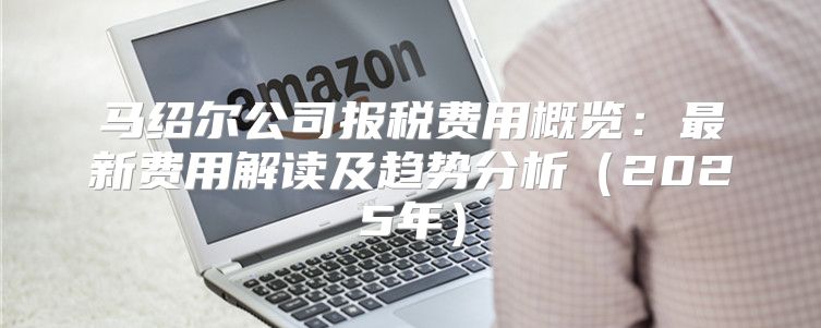 马绍尔公司报税费用概览：最新费用解读及趋势分析2025年