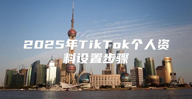 2025年TikTok个人资料设置步骤