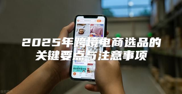 2025年跨境电商选品的关键要点与注意事项