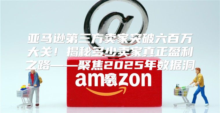亚马逊第三方卖家突破六百万大关！揭秘多少卖家真正盈利之路——聚焦2025年数据洞察