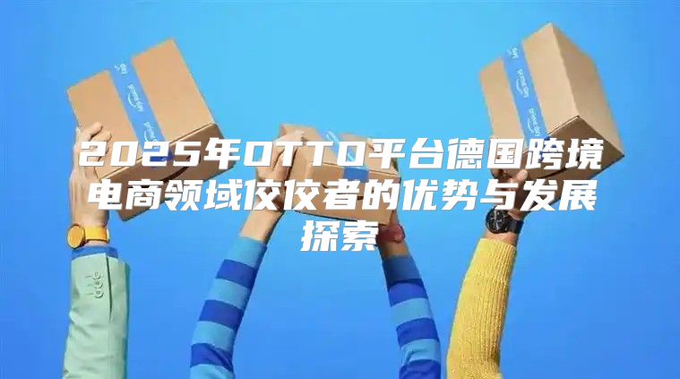 2025年OTTO平台德国跨境电商领域佼佼者的优势与发展探索