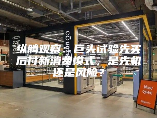 纵腾观察：巨头试验先买后付新消费模式，是先机还是风险？