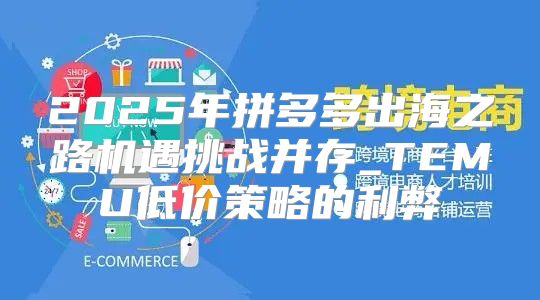 2025年拼多多出海之路机遇挑战并存_TEMU低价策略的利弊